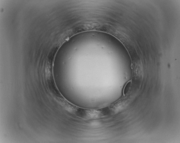 X0000073450226200608041035