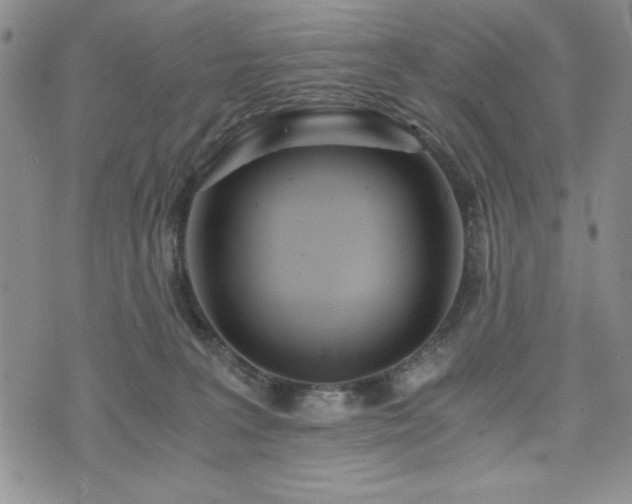 X0000073450227200608041035