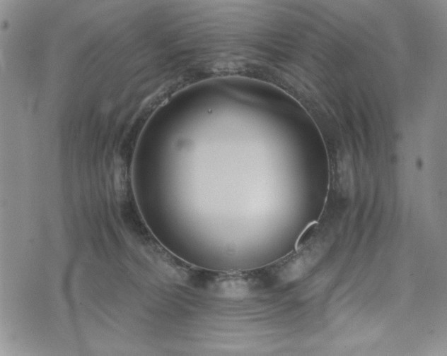 X0000073450228200608041035