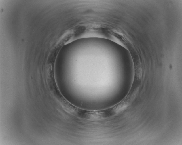 X0000073450229200608041035