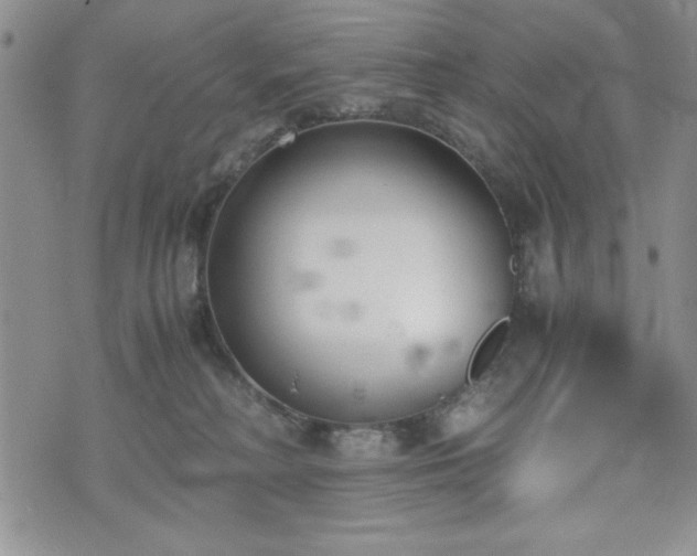 X0000073450230200608041035