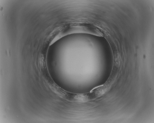 X0000073450231200608041035