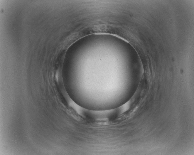 X0000073450233200608041035