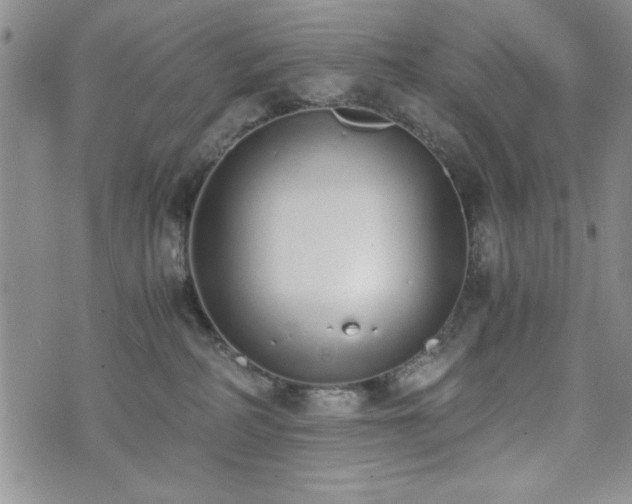 X0000073450234200608041035