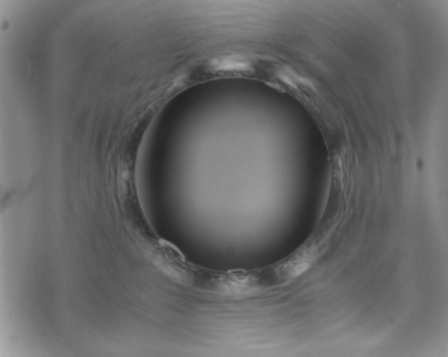 X0000073450235200608041035