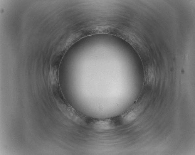 X0000073450236200608041035