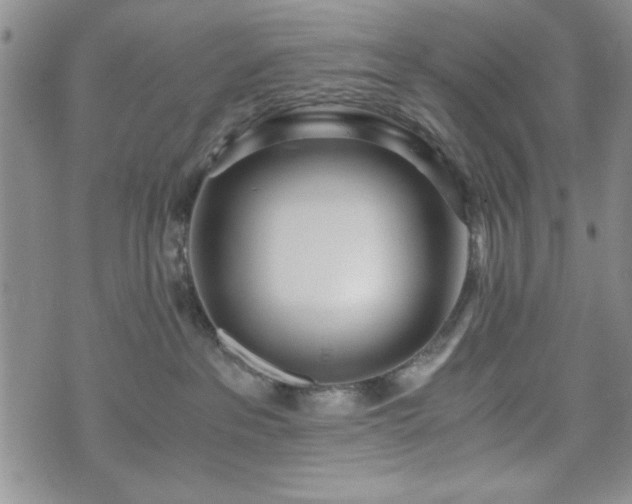 X0000073450237200608041035