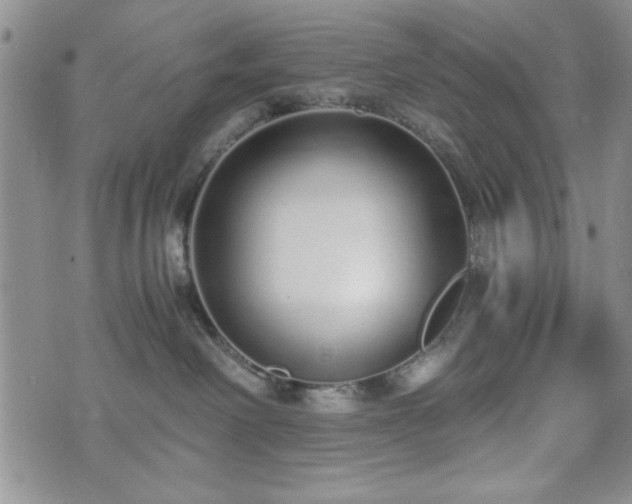 X0000073450238200608041035