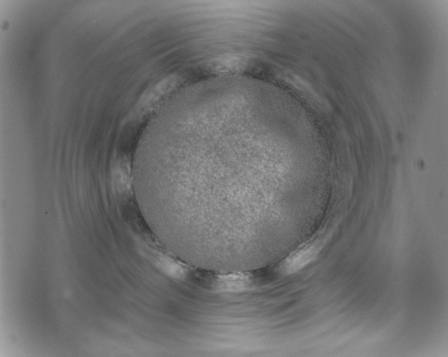 X0000073450240200608041035