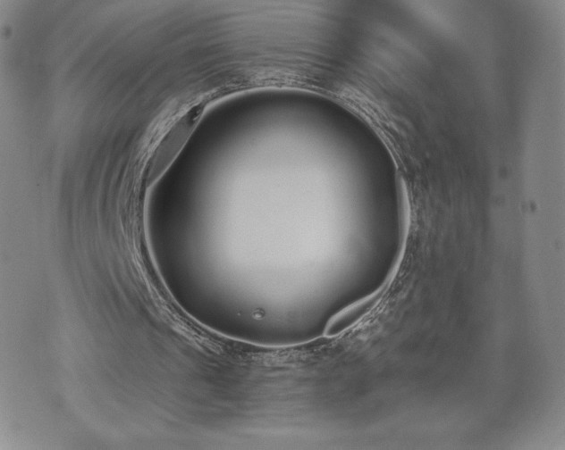 X0000073450241200608041034