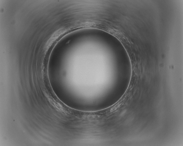 X0000073450242200608041034