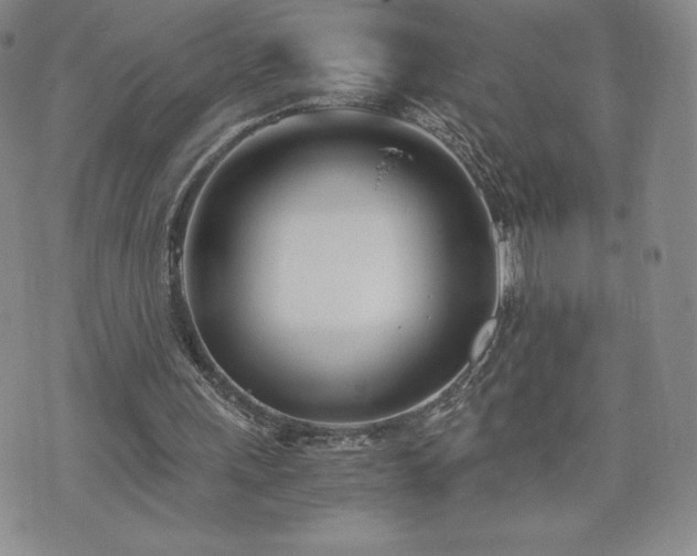 X0000073450243200608041035