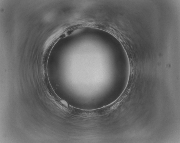 X0000073450245200608041035