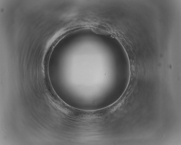 X0000073450246200608041035