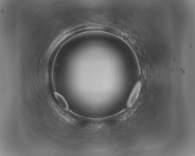 X0000073450247200608041035