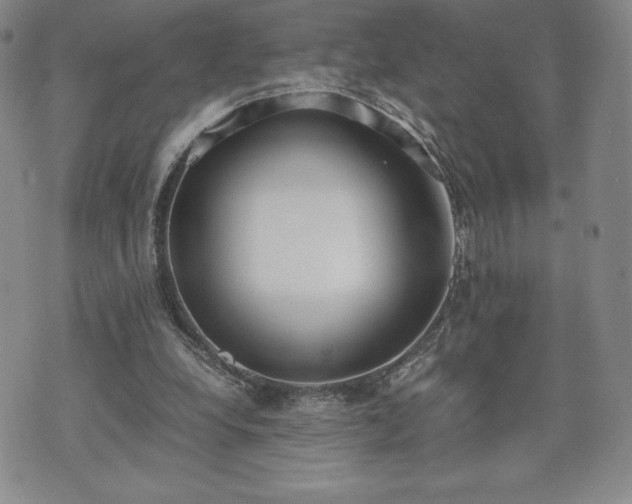 X0000073450248200608041035