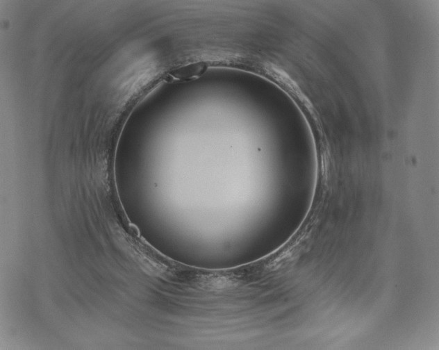 X0000073450249200608041035