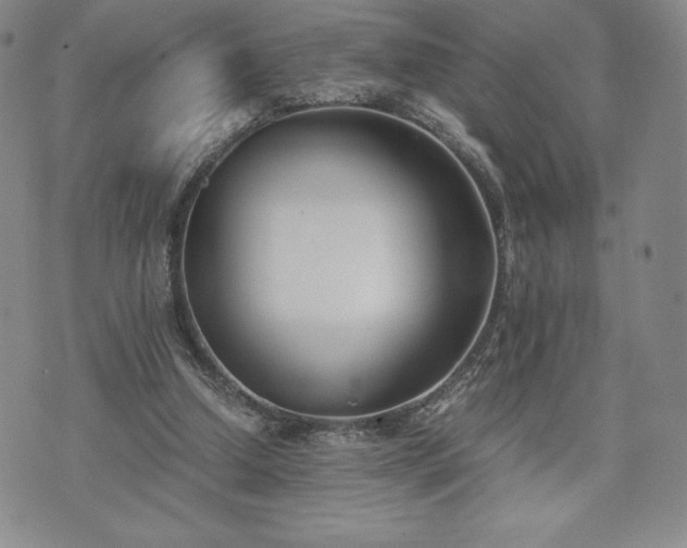 X0000073450250200608041035