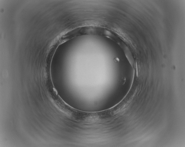 X0000073450252200608041035