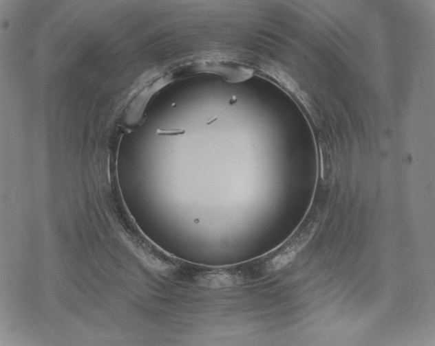 X0000073450253200608041035