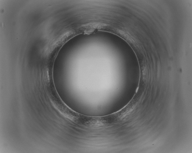 X0000073450254200608041035