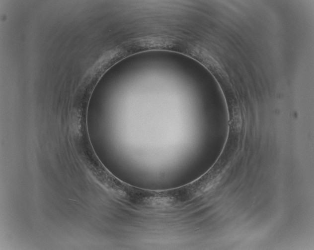 X0000073450255200608041035