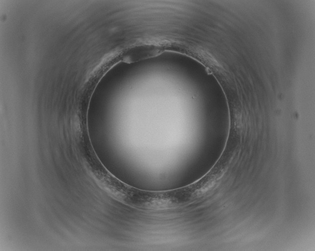 X0000073450256200608041035