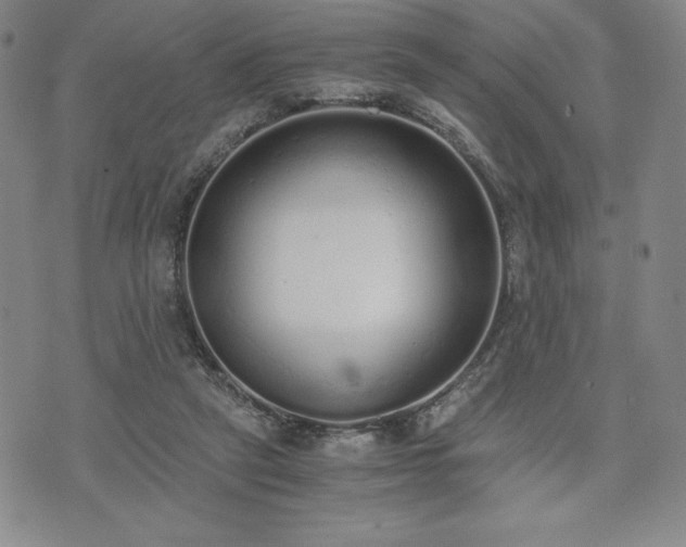 X0000073450257200608041035