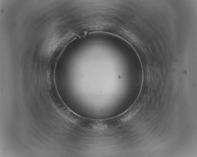 X0000073450258200608041035