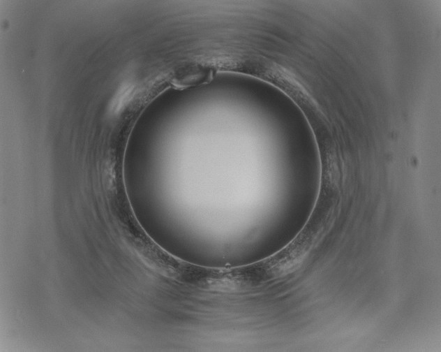 X0000073450259200608041035