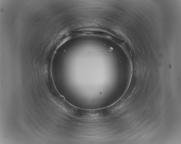 X0000073450260200608041035