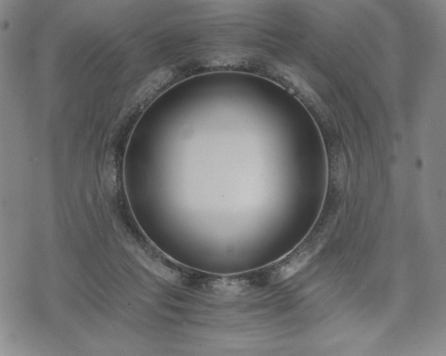 X0000073450261200608041035