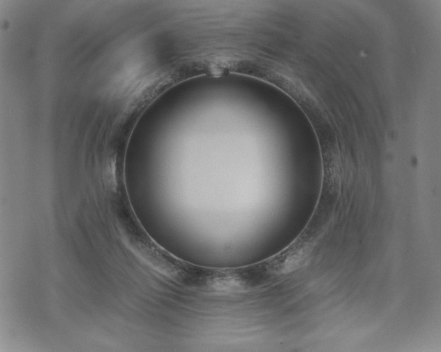 X0000073450262200608041035