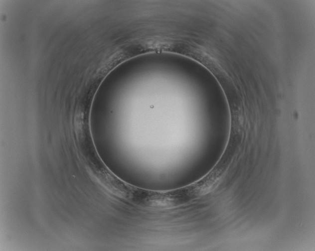 X0000073450263200608041035