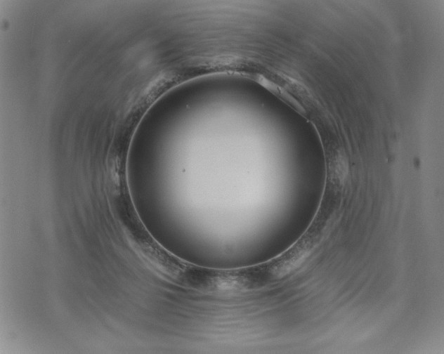 X0000073450264200608041035