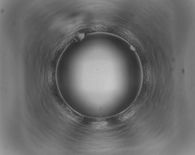 X0000073450266200608041035