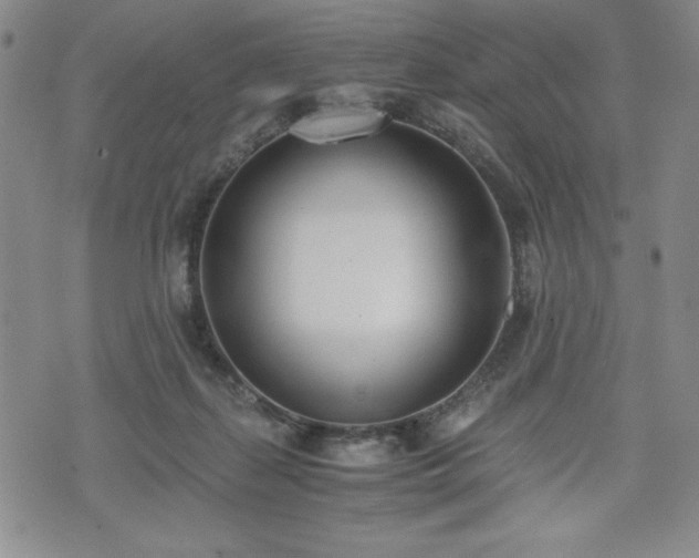 X0000073450267200608041035