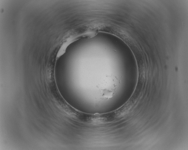 X0000073450268200608041035