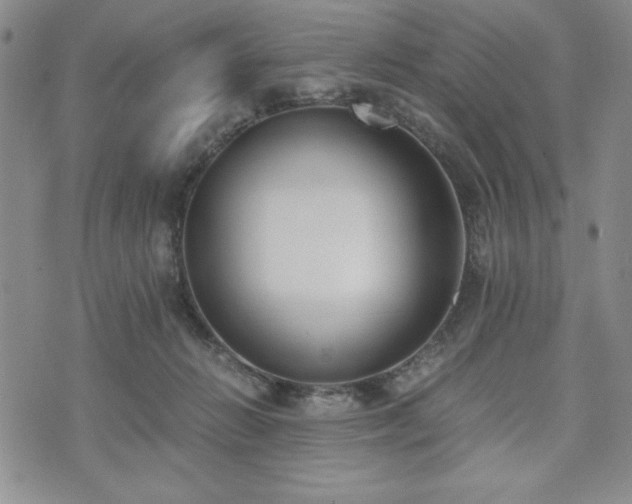 X0000073450270200608041035