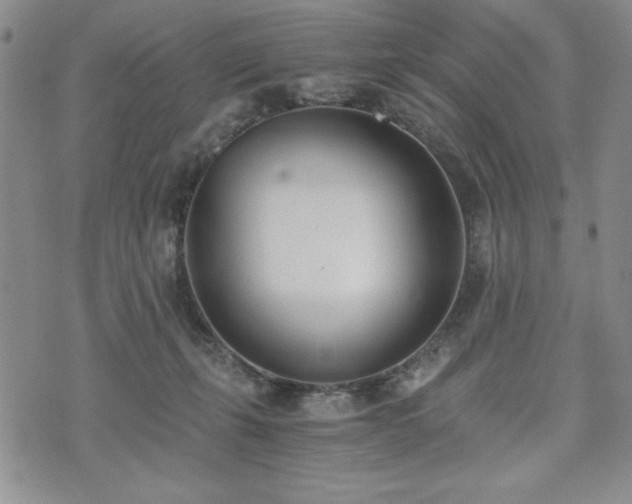 X0000073450271200608041035