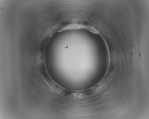 X0000073450272200608041035