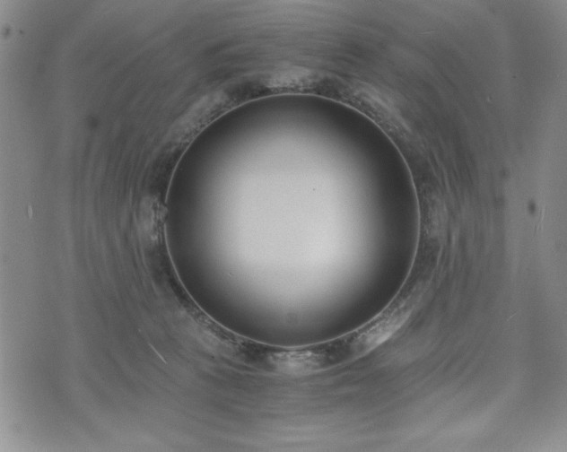 X0000073450273200608041035