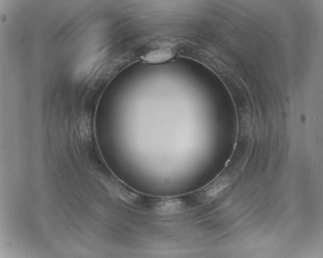 X0000073450274200608041035