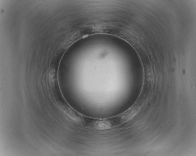 X0000073450275200608041035