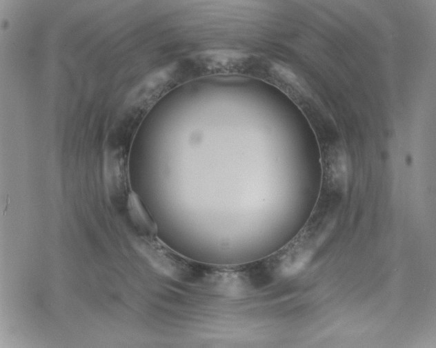 X0000073450276200608041035