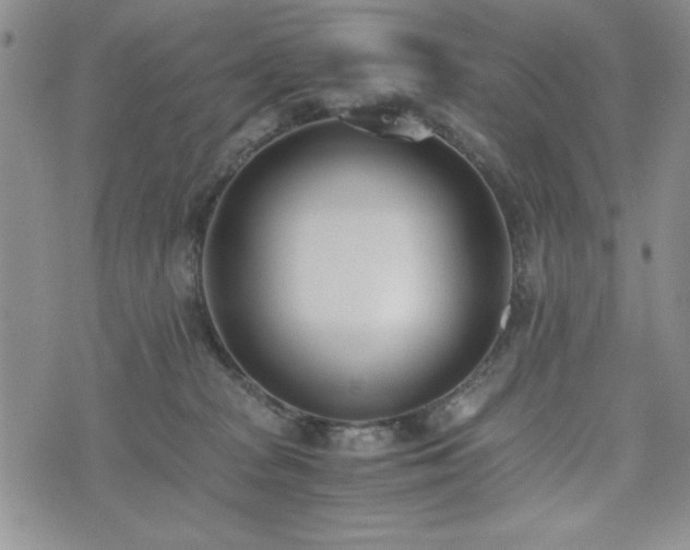 X0000073450277200608041035