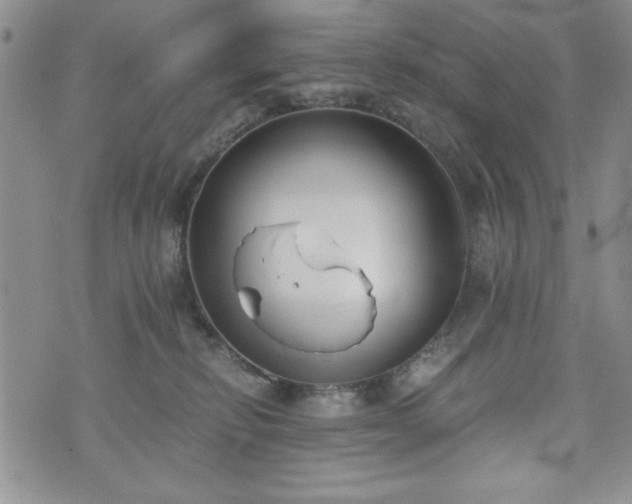 X0000073450278200608041035