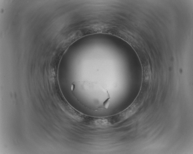 X0000073450279200608041035