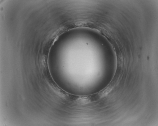 X0000073450280200608041035