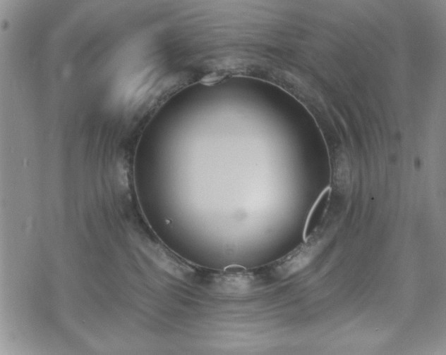 X0000073450282200608041035